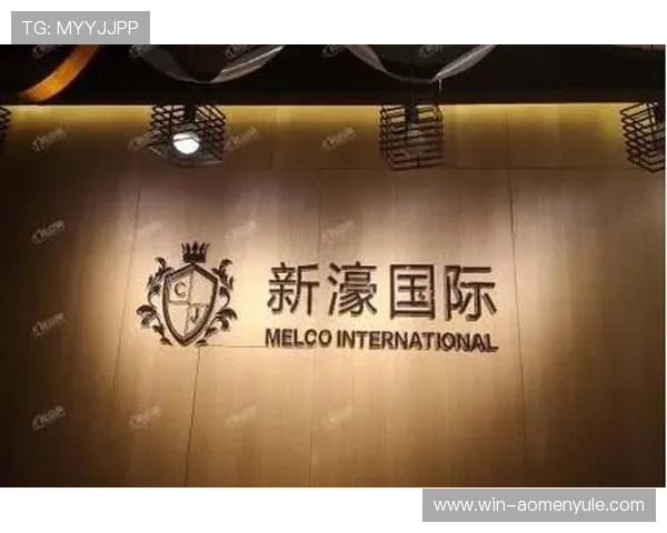 新豪国际集团官网：客户服务体系与合作伙伴关系深度解析