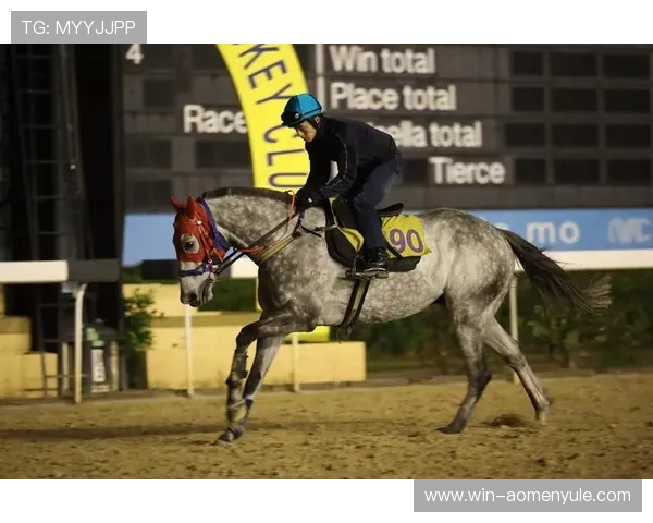澳门赛马时间安排详解及赛季各阶段比赛时间安排指南 澳门赛马时间安排详解及赛季各阶段比赛时间安排指南
